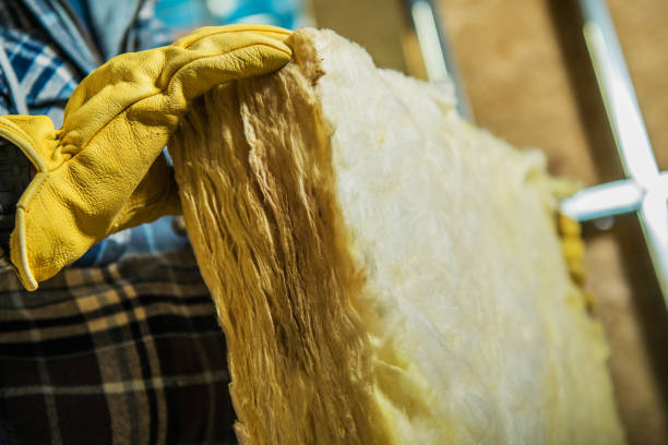 Best Insulation Installation Services in Parma, ID